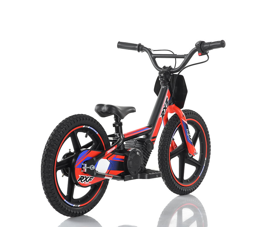 E-BALANCE 16 - immagine 7