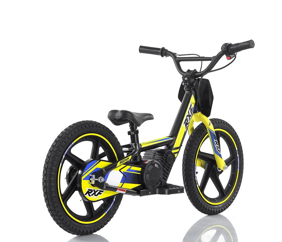 E-BALANCE 16 - immagine 5