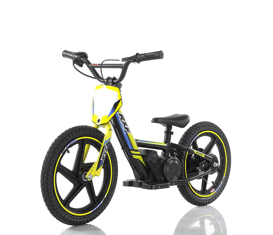 E-BALANCE 16 - immagine 2