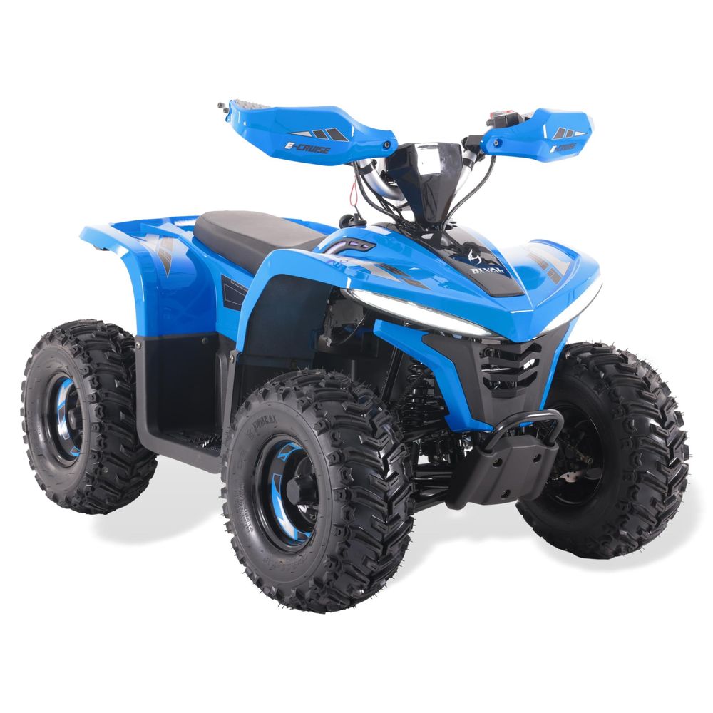 MINIQUAD ATV E-CRUISE 1600W - immagine 11