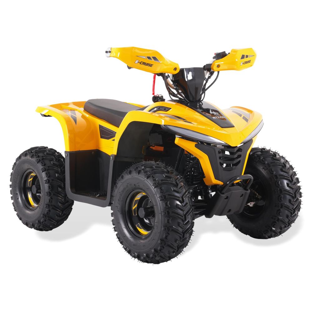 MINIQUAD ATV E-CRUISE 1600W - immagine 3