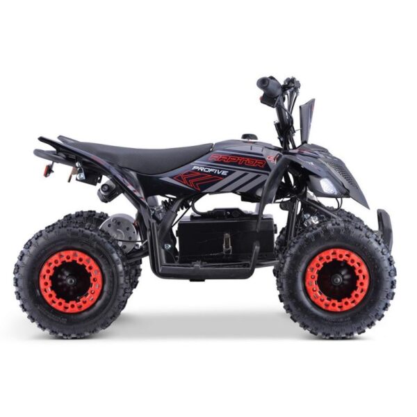 MINIQUAD ELETTRICO PROFIVE RAPTOR 1000W - immagine 4
