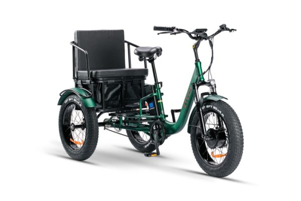 PASS TRIKE – ZT-80C - immagine 5