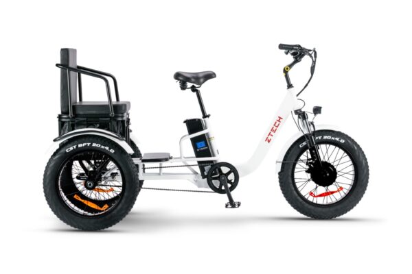 PASS TRIKE – ZT-80C - immagine 2
