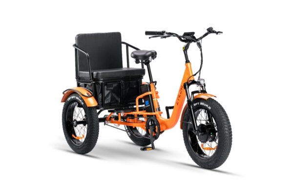 PASS TRIKE – ZT-80C - immagine 3