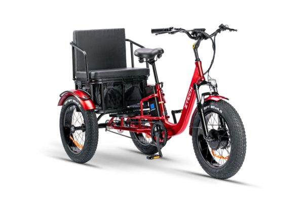 PASS TRIKE – ZT-80C - immagine 4