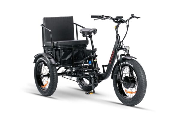 PASS TRIKE – ZT-80C - immagine 6