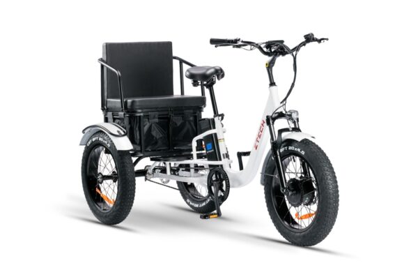 PASS TRIKE – ZT-80C