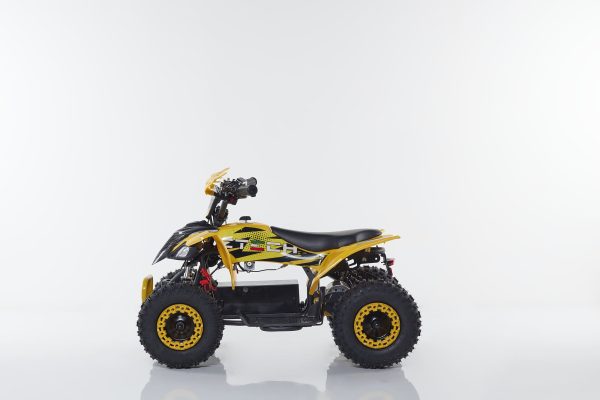 MINIQUAD STORM – FV1000 - immagine 2