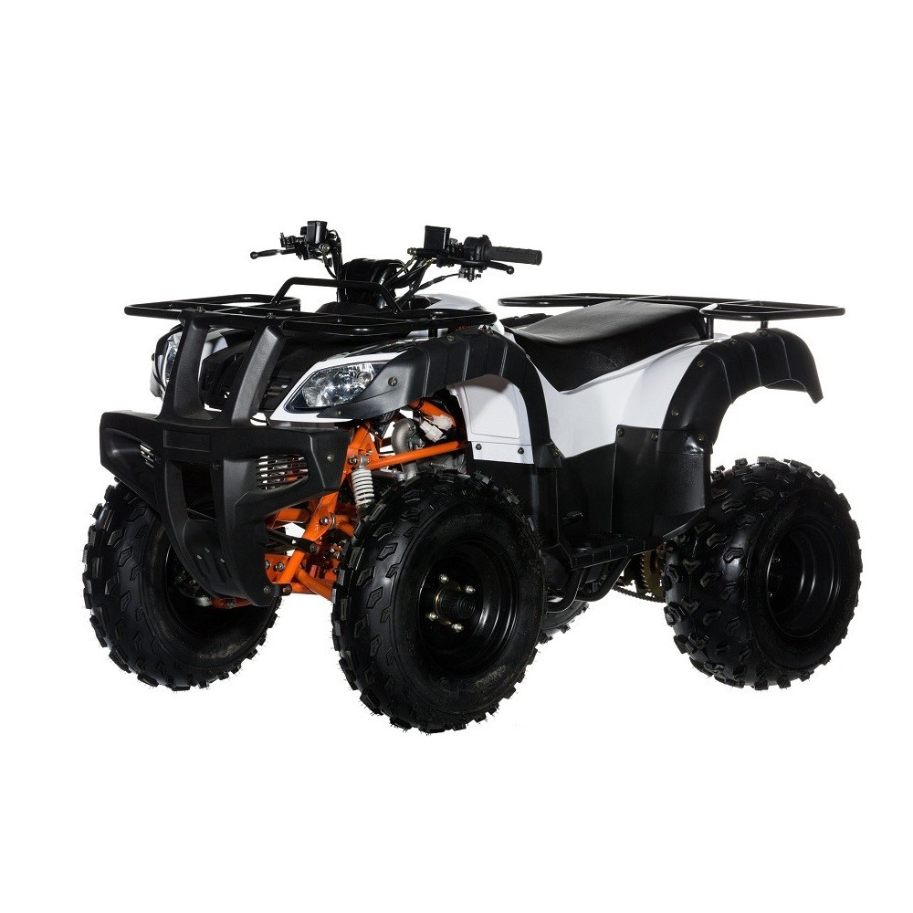 AU150 KAYO - QUAD 150CC UTILITY 4 TEMPI SEMIAUTOMATICO - immagine 2